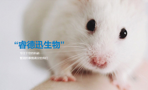 高端策划型网站案例-苏州睿德迅生物