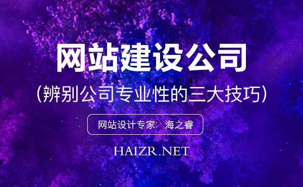 考核网络公司建站专业性的三大标准